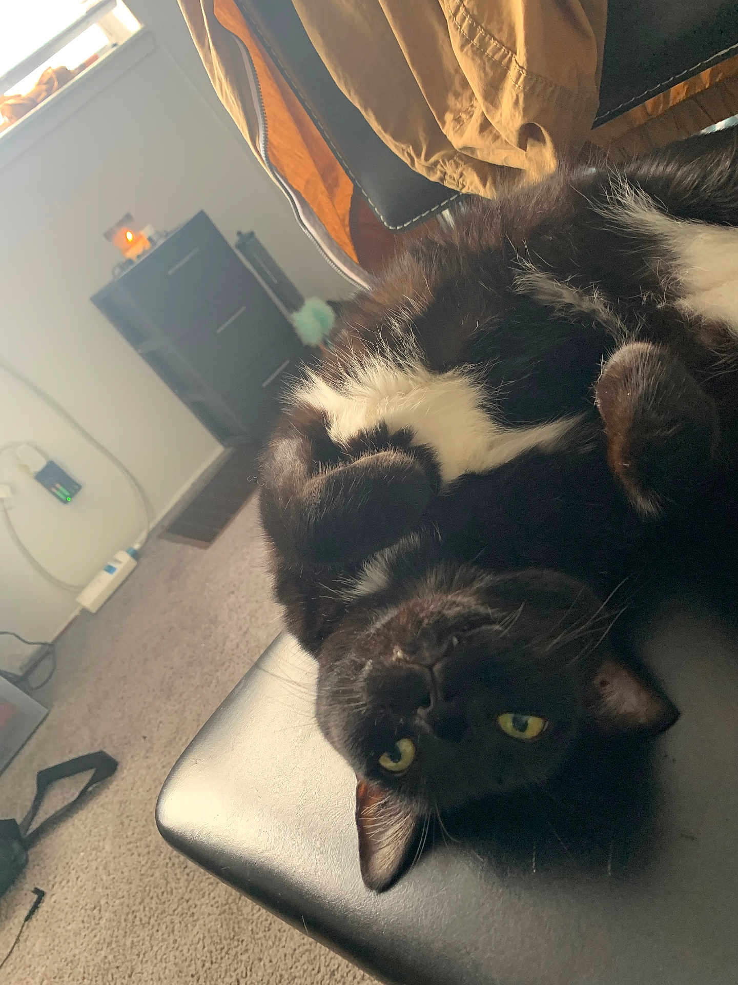 Ellie