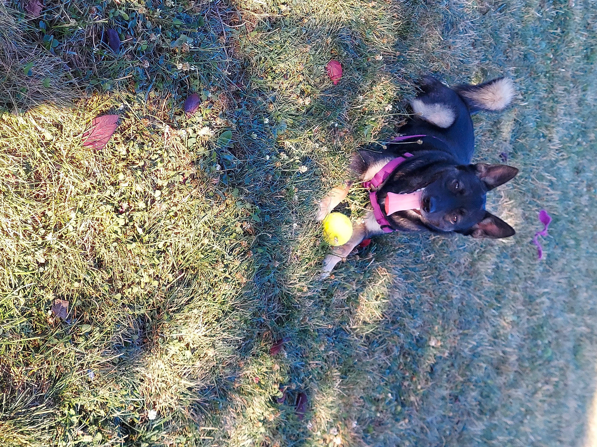 Lily is registered to the contest to win money with this photo: adventure, asphalt, beach, extreme_sport, fun, grass, landscape, leisure, people_in_nature, plant, recreation, road_surface, rock, sand, shadow, soil, sport_climbing, tints_and_shades, tree, visual_arts