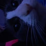 Destiny Tule joined the competition — help win amazing prizes! cat, close_up, whiskers, face, animal, pet, dark, low_light, curious, black_and_white, indoor, feline, portrait, nose, eyes, soft_focus, mystery, blurred, night, domestic_animal