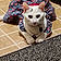Yuki