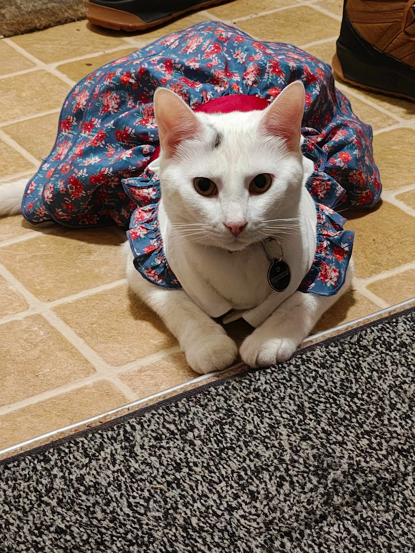 Yuki