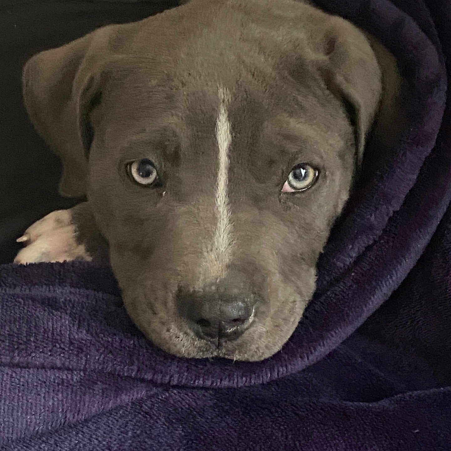 Paco