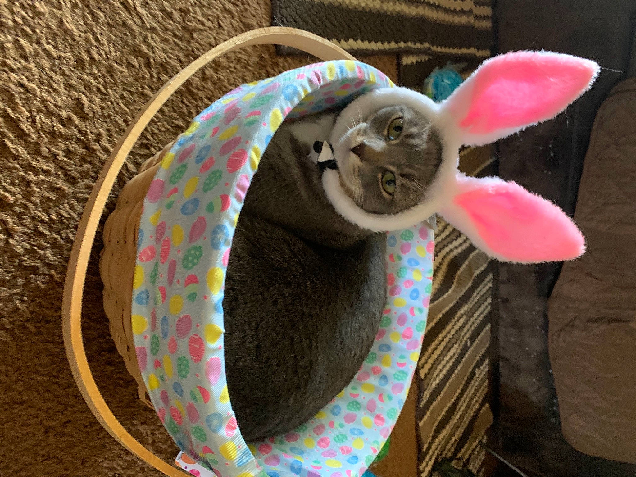 Ashy Gil is registered to the contest to win money with this photo: art, automotive_wheel_system, circle, fashion_accessory, fun, headgear, jewellery, magenta, pattern, pink, reptile, rope, scaled_reptile, serpent, terrestrial_animal, thread, tire, visual_arts, wildlife, wool