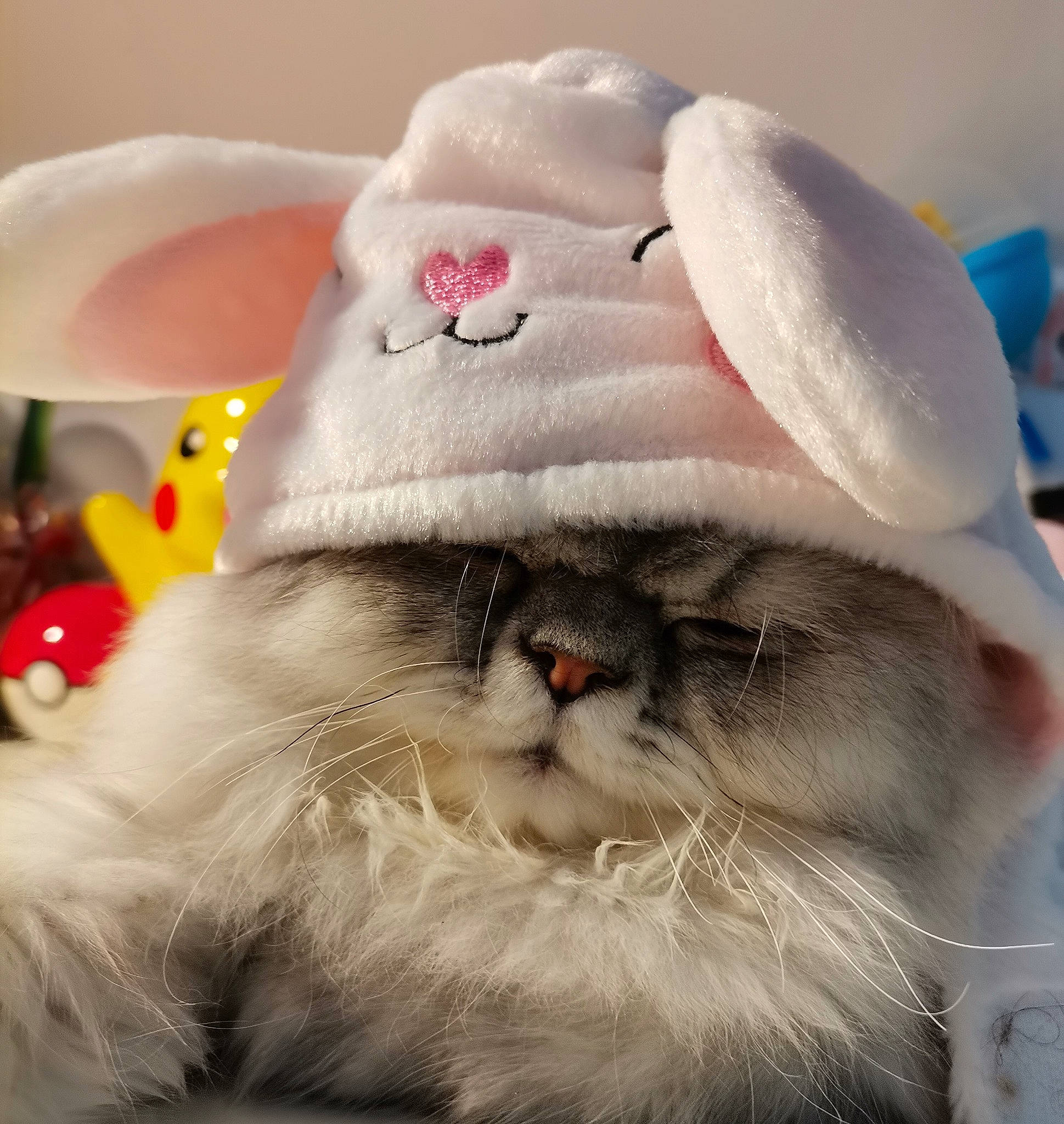 Neko a rejoint le concours — aidez-le/la à gagner de superbes lots ! carnivore, cat, companion_dog, event, felidae, fictional_character, font, fur, happy, nose, paw, petal, photo_caption, plush, santa_claus, small_to_medium_sized_cats, snout, stuffed_toy, whiskers, wool