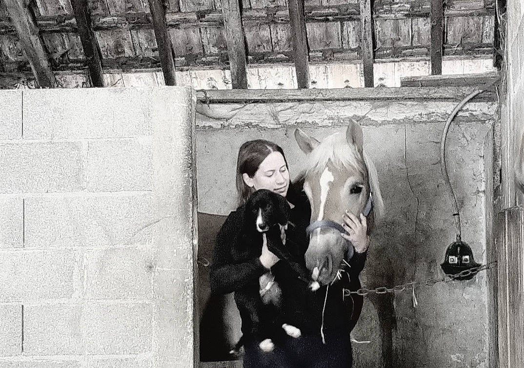 Snow participe au concours pour gagner de l'argent avec cette photo : art, black, black_and_white, facade, font, line, monochrome, monochrome_photography, mural, painting, pedestrian, road, sidewalk, sitting, street, street_fashion, style, visual_arts, wall, working_animal