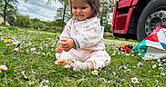 Charlie a rejoint le concours — aidez-le/la à gagner de superbes lots ! casual_clothing, child, cloudy_sky, curious, cute, daisy, daytime, field, flower, grass, greenery, nature, outdoor, playful, red, sitting, toddler, tree, truck, vehicle
