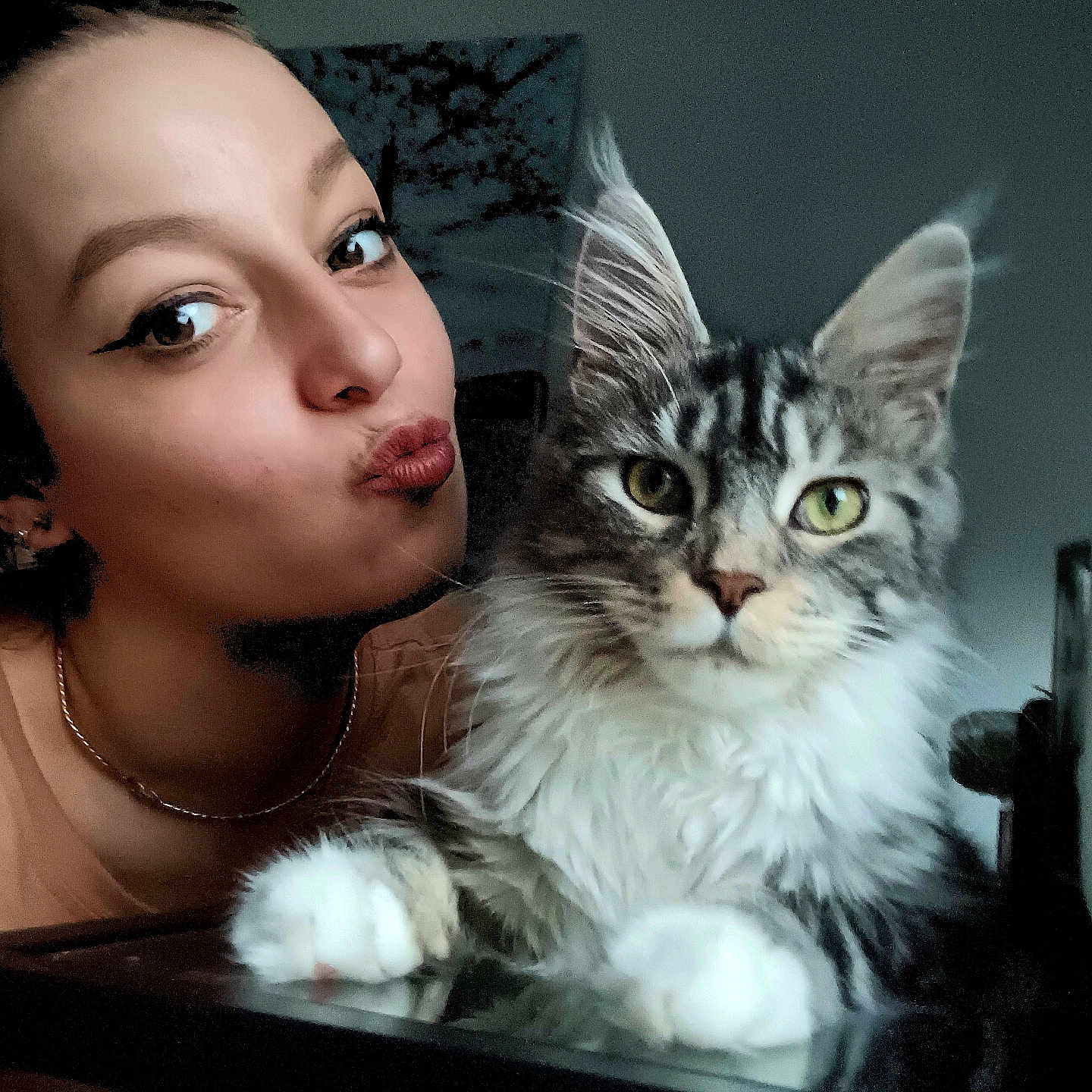 Utopia a rejoint le concours — aidez-le/la à gagner de superbes lots ! accessories, adult, angora, animal, bodypart, cat, face, female, finger, hand, head, jewelry, kitten, manx, necklace, person, pet, photography, portrait, woman