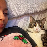 Stitch is registered to the contest to win money with this photo: cat, person, blanket, tabby_cat, indoor, cozy, face, pink, holly, berries, white_background, relaxed, snuggling, black_shirt, closeup, pet, feline, comfort, domestic, portrait