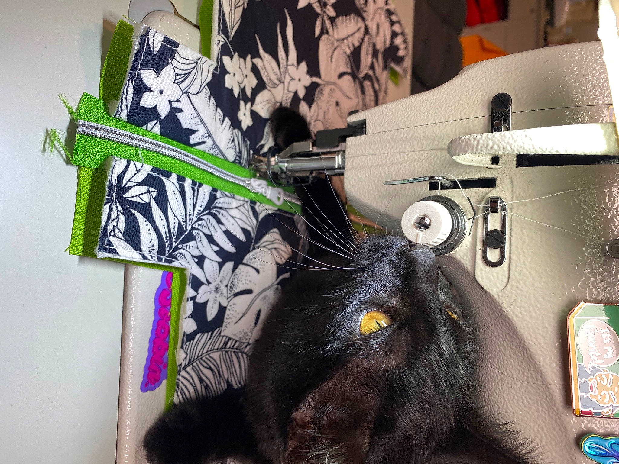 Ruthie joined the competition — help win amazing prizes! art, bag, black_cat, carnivore, cat, domestic_short_haired_cat, felidae, fictional_character, font, fur, graphic_design, graphics, illustration, machine, painting, small_to_medium_sized_cats, t_shirt, tail, visual_arts, whiskers