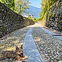 Billy participe au concours pour gagner de l'argent avec cette photo : dog, cobblestone_path, stone_wall, outdoor, sunlight, mountain, lake, blue_sky, nature, pet, leisure, resting, happy, tongue_out, small_dog, pathway, greenery, summer, travel, scenic