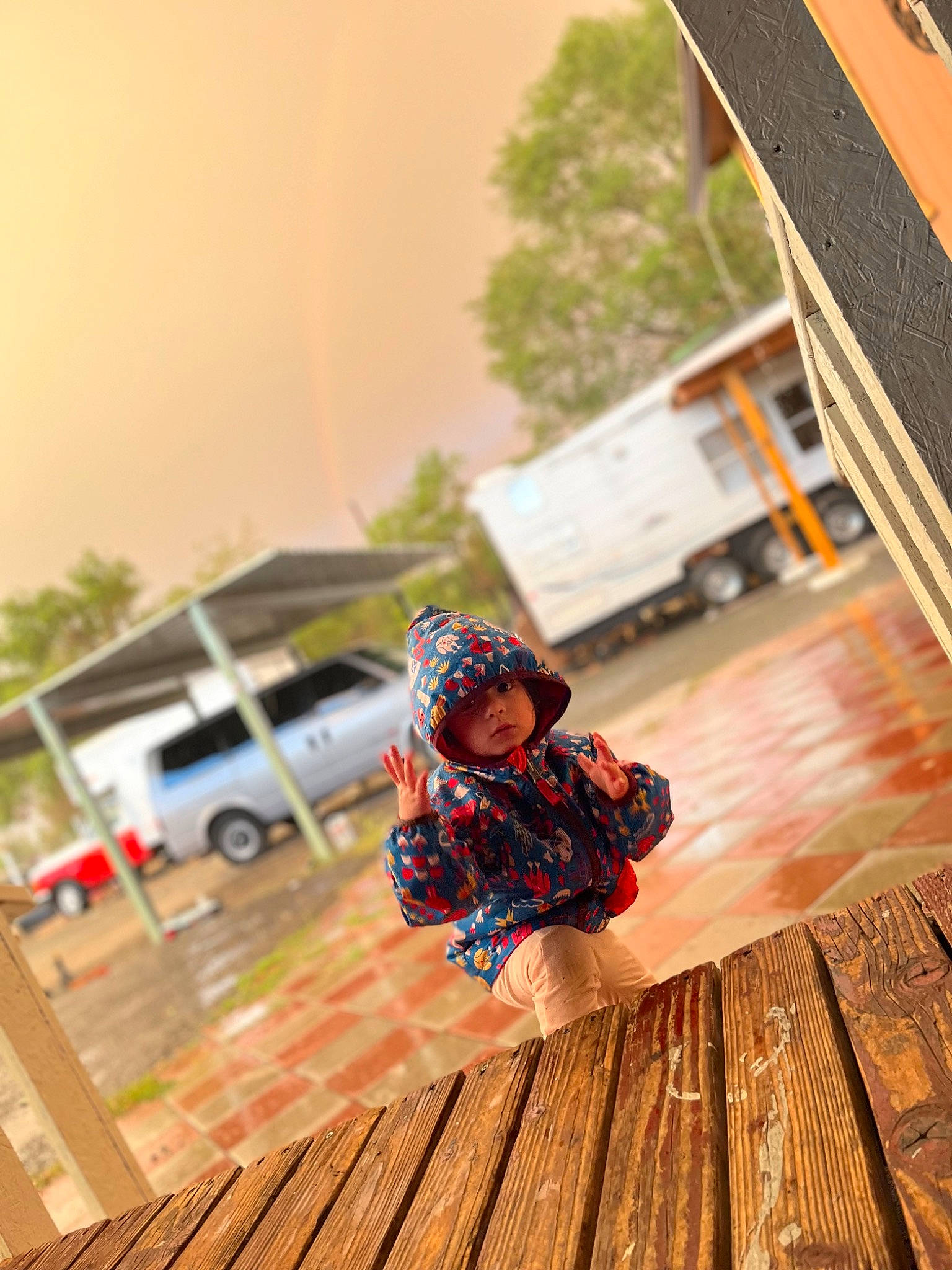 Ezlyn joined the competition — help win amazing prizes! baby, deck, floor, flooring, fun, grass, happy, hardwood, headwear, laminate_flooring, leisure, person, plank, plant, sitting, tints_and_shades, toddler, tree, varnish, wood