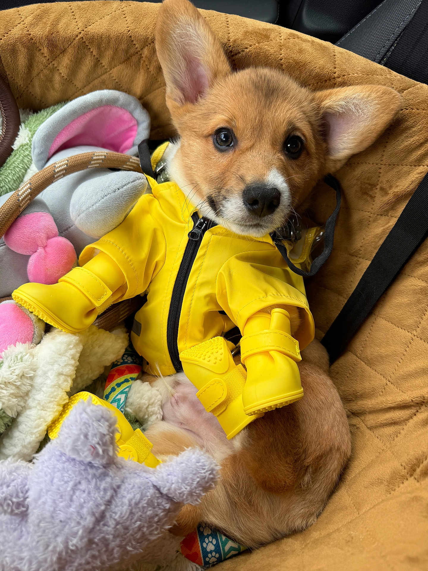 Finnegan