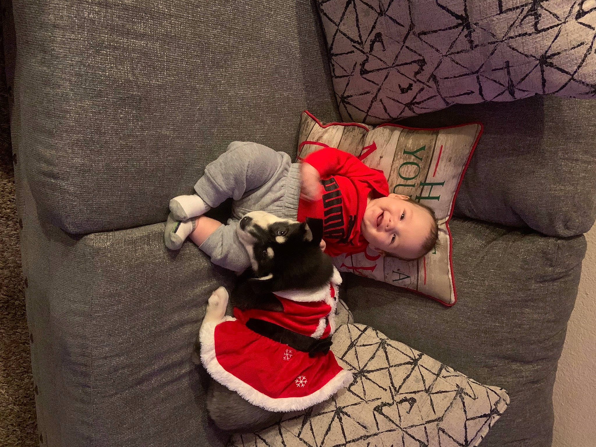 Javier joined the competition — help win amazing prizes! carmine, cushion, doll, fictional_character, home_accessories, joy, lamp, person, pillow, sock, stuffed_toy, throw_pillow, toy