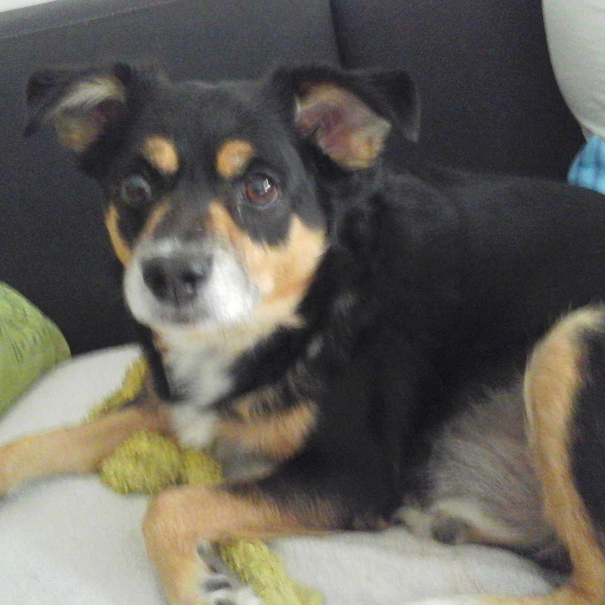 Max