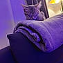 animal, blanket, cat, closeup, couch, cozy, curtains, domestic, folded_blanket, furniture, indoor, kitten, lamp, pet, purple_light, quiet, relaxation, resting, sleeping, soft_texture