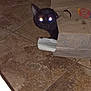 Kuma is registered to the contest to win money with this photo: animal, black_cat, cat, closeup, curious, cute, dark, domestic_cat, feline, floor, glowing_eyes, hidden, indoor, mystery, paper_bag, peeking, pet, playful, shadow, tile_floor