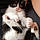 Bastet