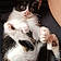 Bastet