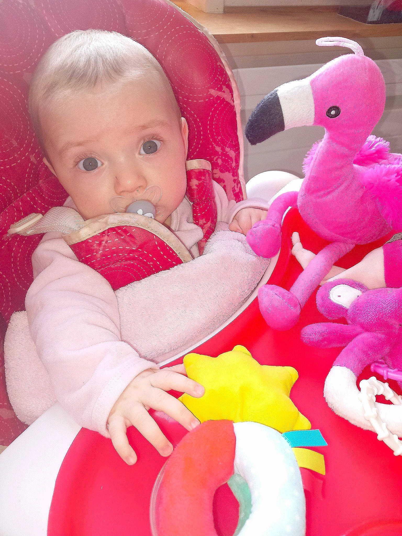Elza participe au concours pour gagner de l'argent avec cette photo : baby, baby_playing_with_toys, baby_toddler_clothing, cheek, comfort, finger, fun, happy, human_body, lap, mammal, organ, person, pink, product, red, snapshot, textile, toddler, toy