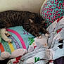 Yeti joined the competition — help win amazing prizes! cat, tabby_cat, sleeping, bed, pillow, blanket, rainbow, snowman, indoor, cozy, feline, resting, striped, paw, cute, home, comfort, soft, animal, nap