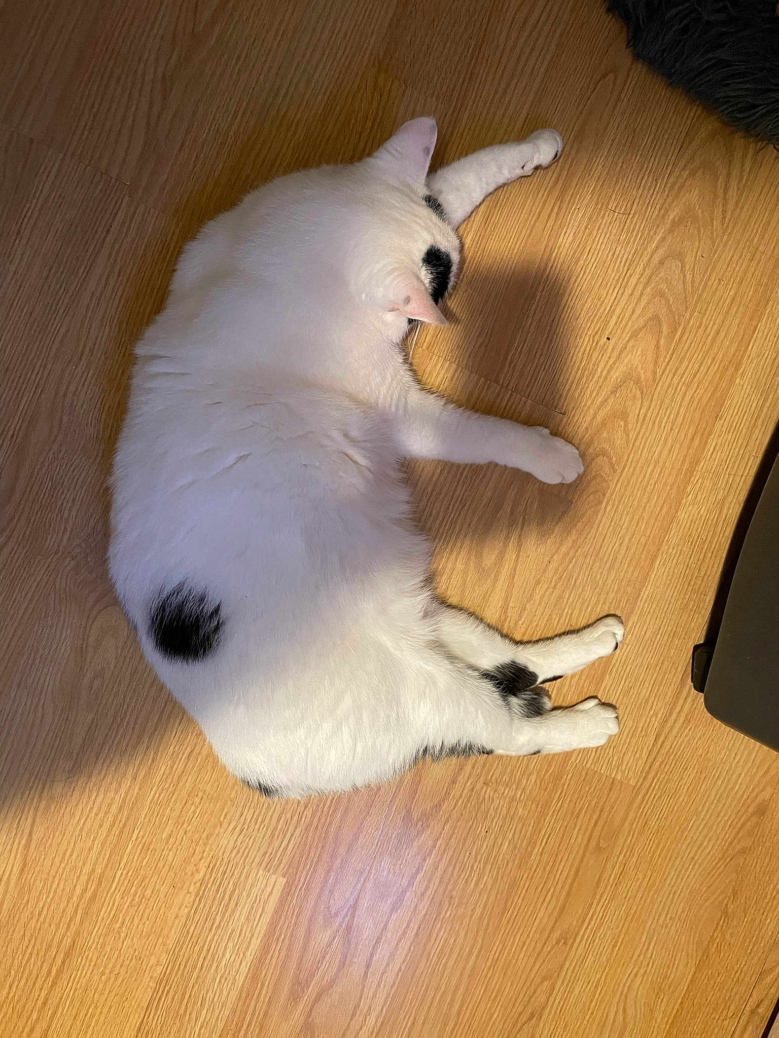 Blanco