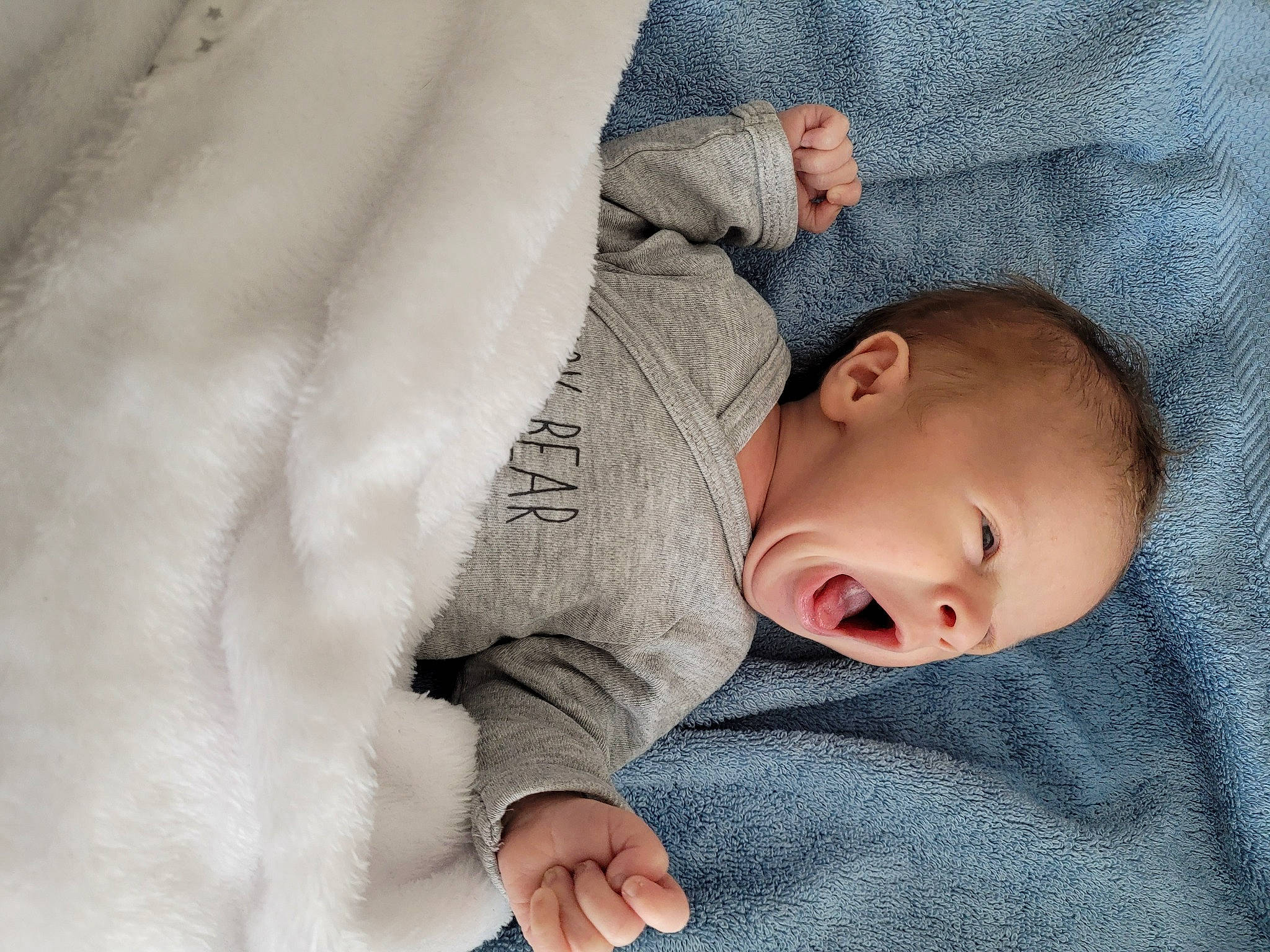Lisandro participe au concours pour gagner de l'argent avec cette photo : baby, baby_products, baby_sleeping, baby_toddler_clothing, bedtime, cheek, child, chin, comfort, eye, fur, gesture, grey, linens, nose, person, sitting, skin, sleeve, textile