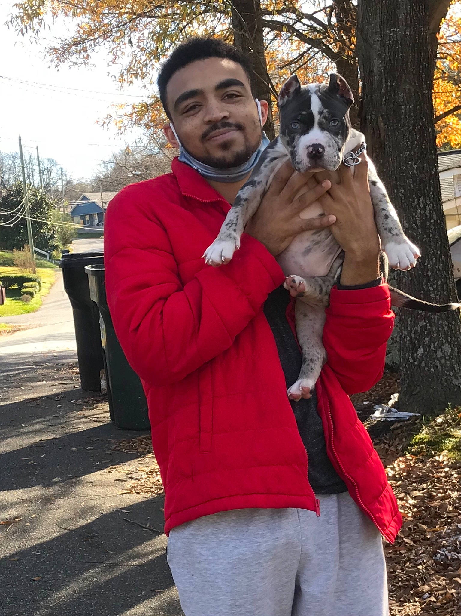 Blue Moon is registered to the contest to win money with this photo: animal_training, beard, canidae, carnivore, collar, companion_dog, dog, dog_breed, fur, giant_dog_breed, human, love, snout, sporting_group, standard_schnauzer, vertebrate, wildlife_biologist, woody_plant, working_animal, working_dog