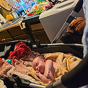 Mack is registered to the contest to win money with this photo: newborn, baby, child, sleeping, infant, stroller, dog, pet, indoors, kitchen, blanket, yellow_blanket, pink_blanket, portrait, lying_down, cuddling, vegetables, sink, household, cozy