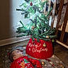 baby, blanket, chair, child, christmas, christmas_bag, christmas_decorations, christmas_tree, festive, holiday, indoor, infant, living_room, lying_down, onesie, ornaments, pacifier, portrait, red_outfit, wood_floor