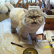 Sissy is registered to the contest to win money with this photo: