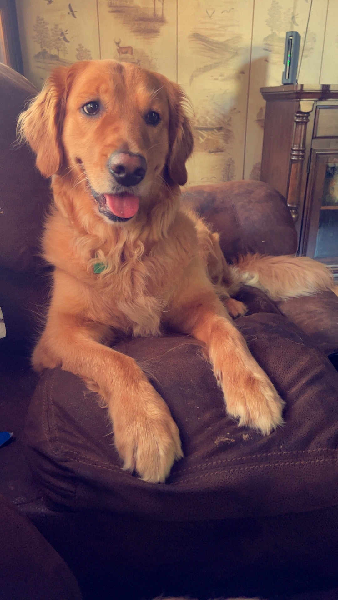 Freyja
