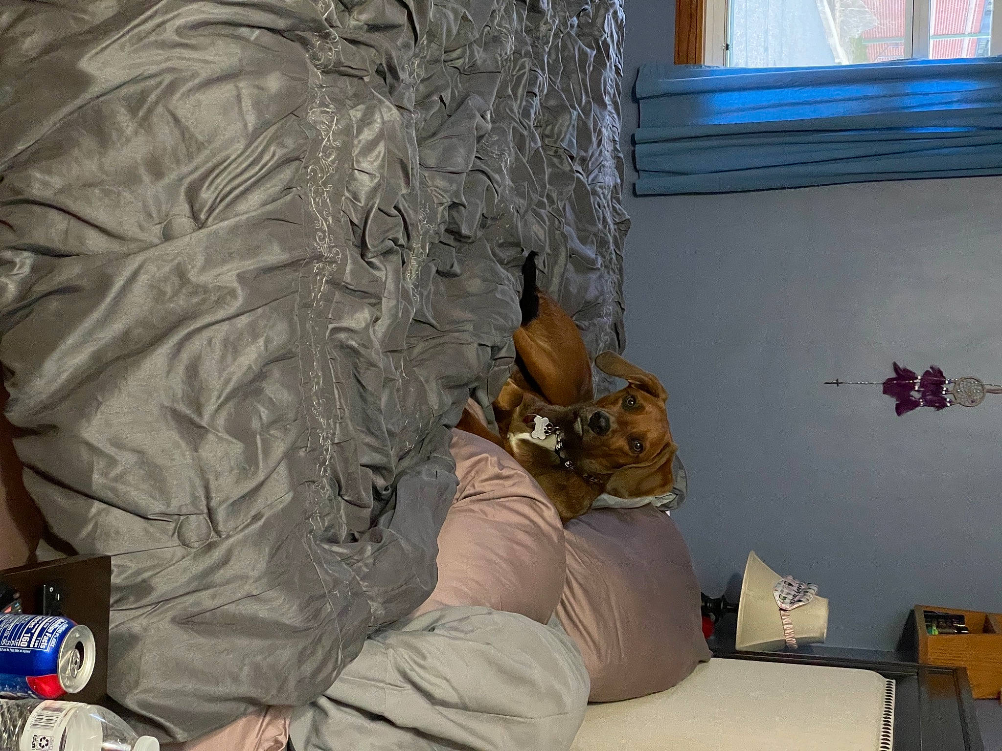 Gus joined the competition — help win amazing prizes! army, art, baseball_cap, comfort, fawn, felidae, fur, hat, linens, military_camouflage, pattern, personal_protective_equipment, room, shoe, small_to_medium_sized_cats, soldier, textile, vertebrate, visual_arts, wood