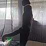 black_cat, cat, pet, window, curtains, indoor, domestic_animal, tail, feline, looking_out, white_surface, sunlight, blinds, household, curiosity, standing, side_view, shadow, collar, quiet_moment