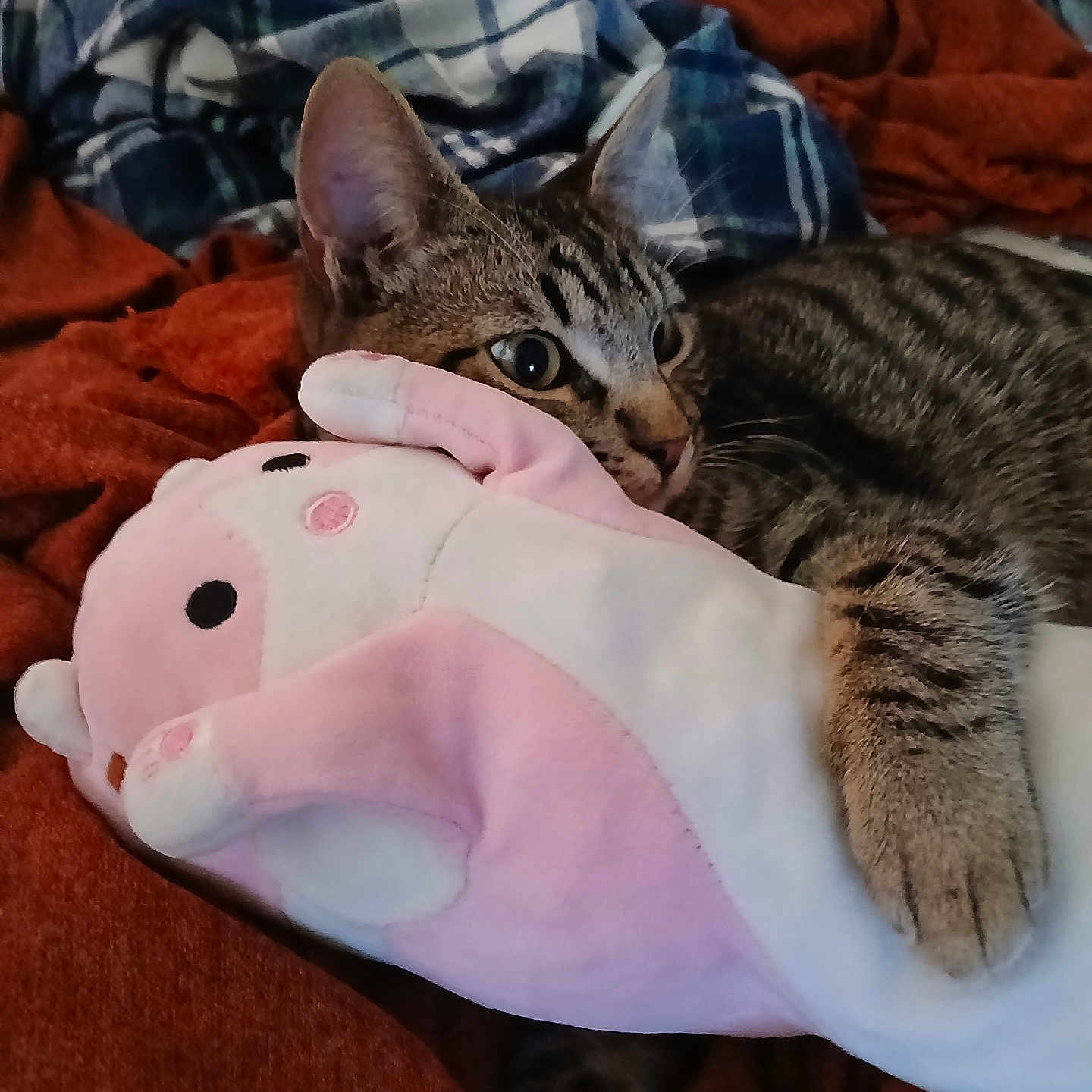 Simba