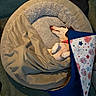 Mary Daughter is registered to the contest to win money with this photo: dog, sleeping, pet, animal, white_dog, brown_patches, dog_bed, donut_bed, blanket, fluffy, indoor, cozy, relaxed, nap, paws, snout, carpet, bag, fireworks_pattern, home
