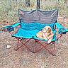 Pepper joined the competition — help win amazing prizes! dog, chair, outdoor, forest, tree, pine_needles, nature, relaxed, pet, brown_dog, folding_chair, camping_chair, grass, wildlife, daylight, animal, resting, seat, canine, scenery