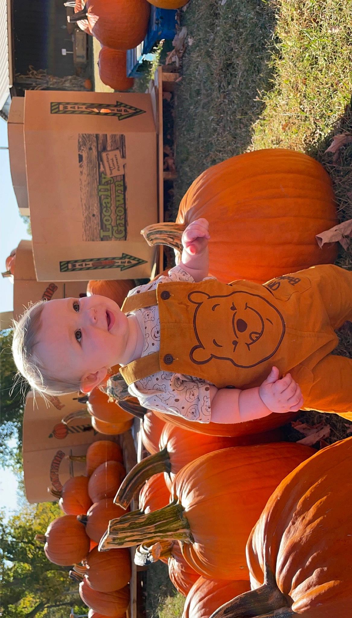 Jeremiah is registered to the contest to win money with this photo: _and_melon_family, _gourd, art, calabaza, cucumber, cucurbita, fruit, gourd, jack_o_lantern, local_food, natural_foods, orange, peach, person, plant, produce, pumpkin, sky, squash, toy