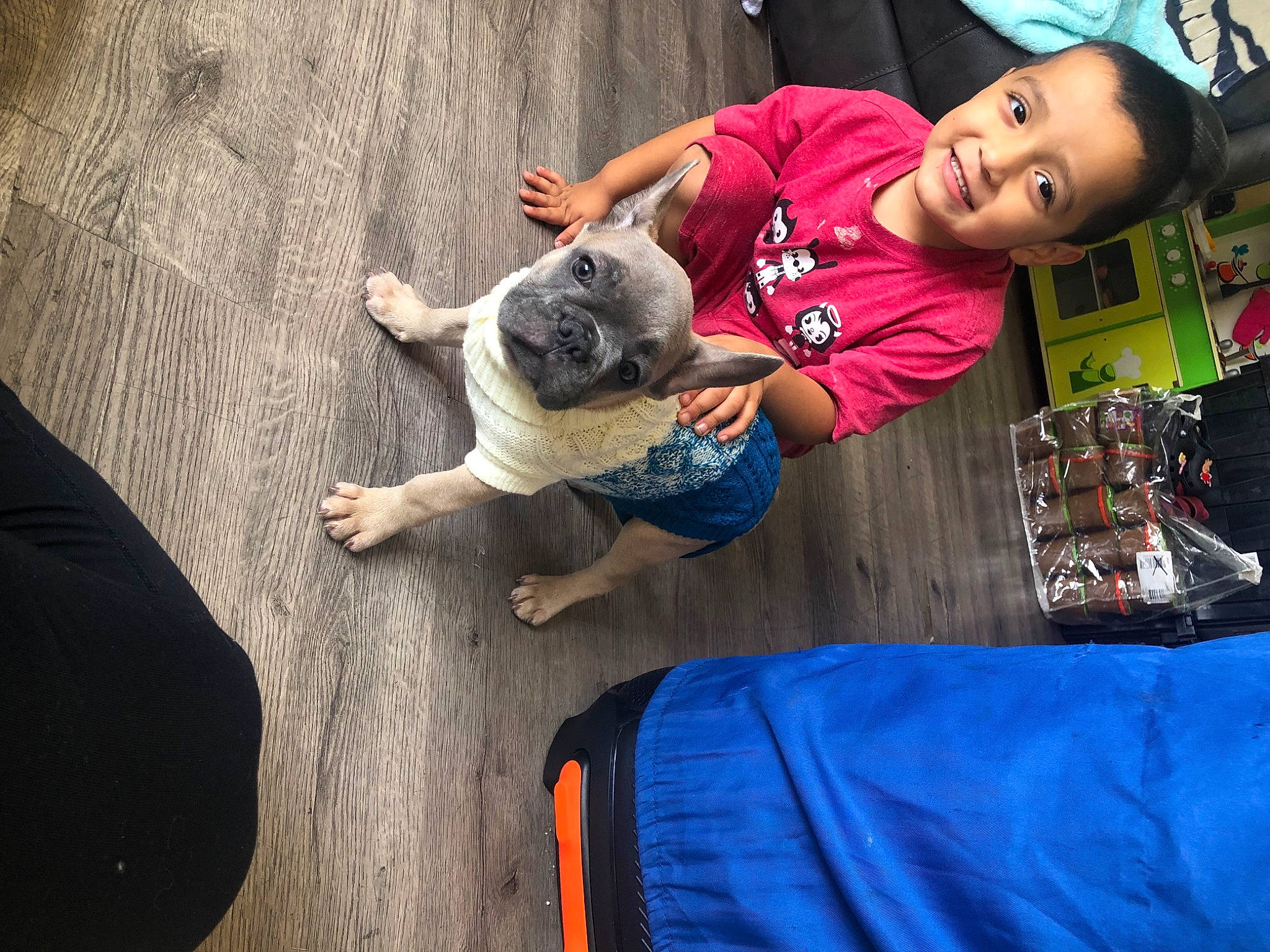 Buddy joined the competition — help win amazing prizes! arm, cap, child, companion_dog, dog_breed, elbow, event, fawn, fun, happy, human_leg, leisure, people, recreation, shorts, street, t_shirt, toddler, trampoline, trampolining_equipment_and_supplies