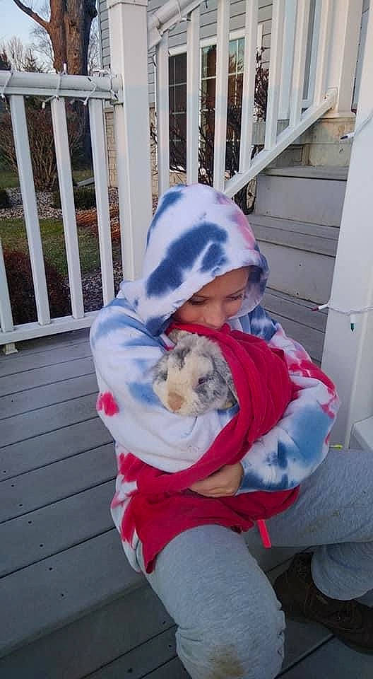 Smokey is registered to the contest to win money with this photo: canidae, carnivore, child, companion_dog, dog, dog_breed, fawn, fence, fur, hat, jeans, lap, play, puppy_love, sitting, sporting_group, toy, toy_dog, trunk, winter