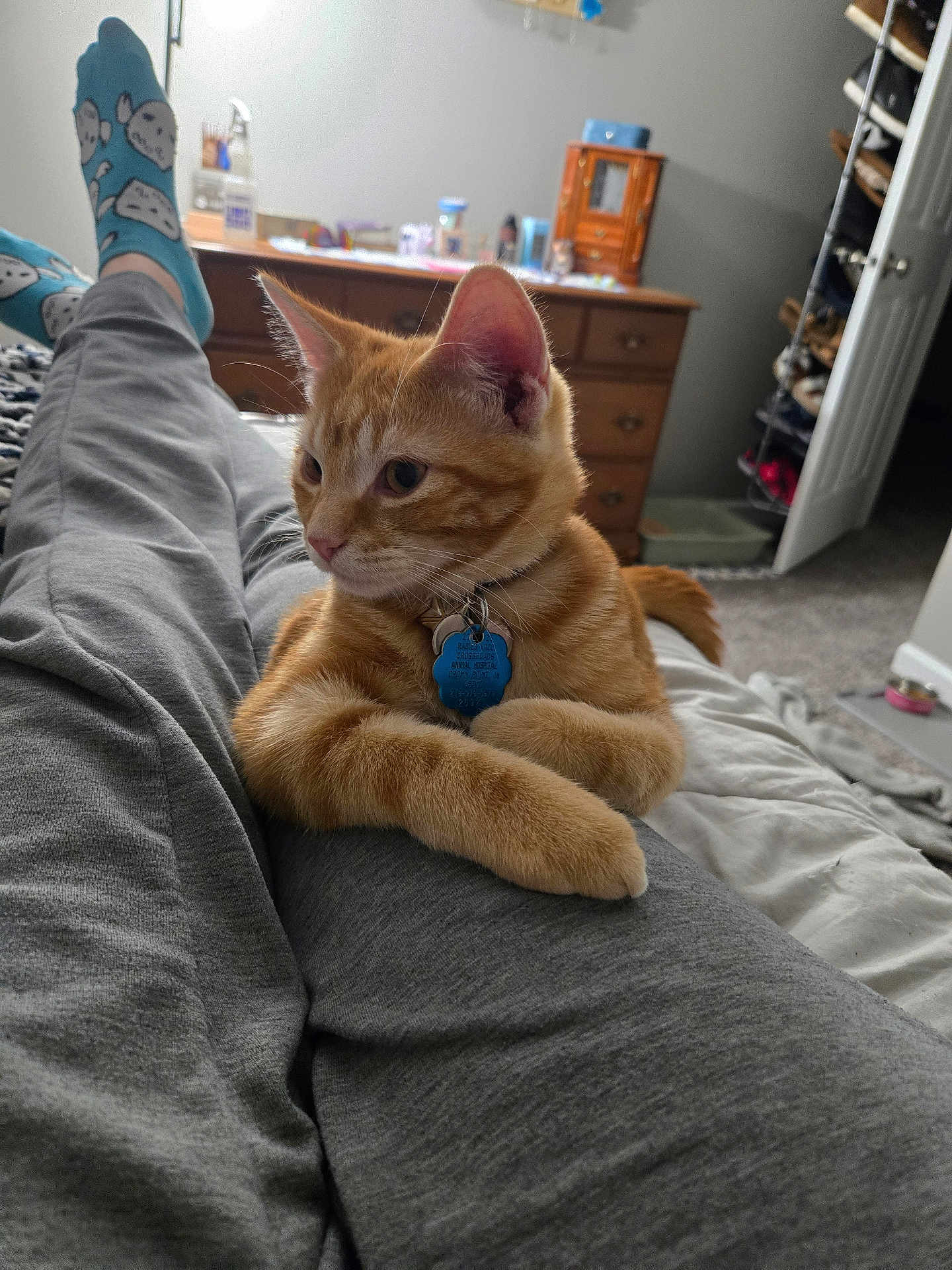 Milo