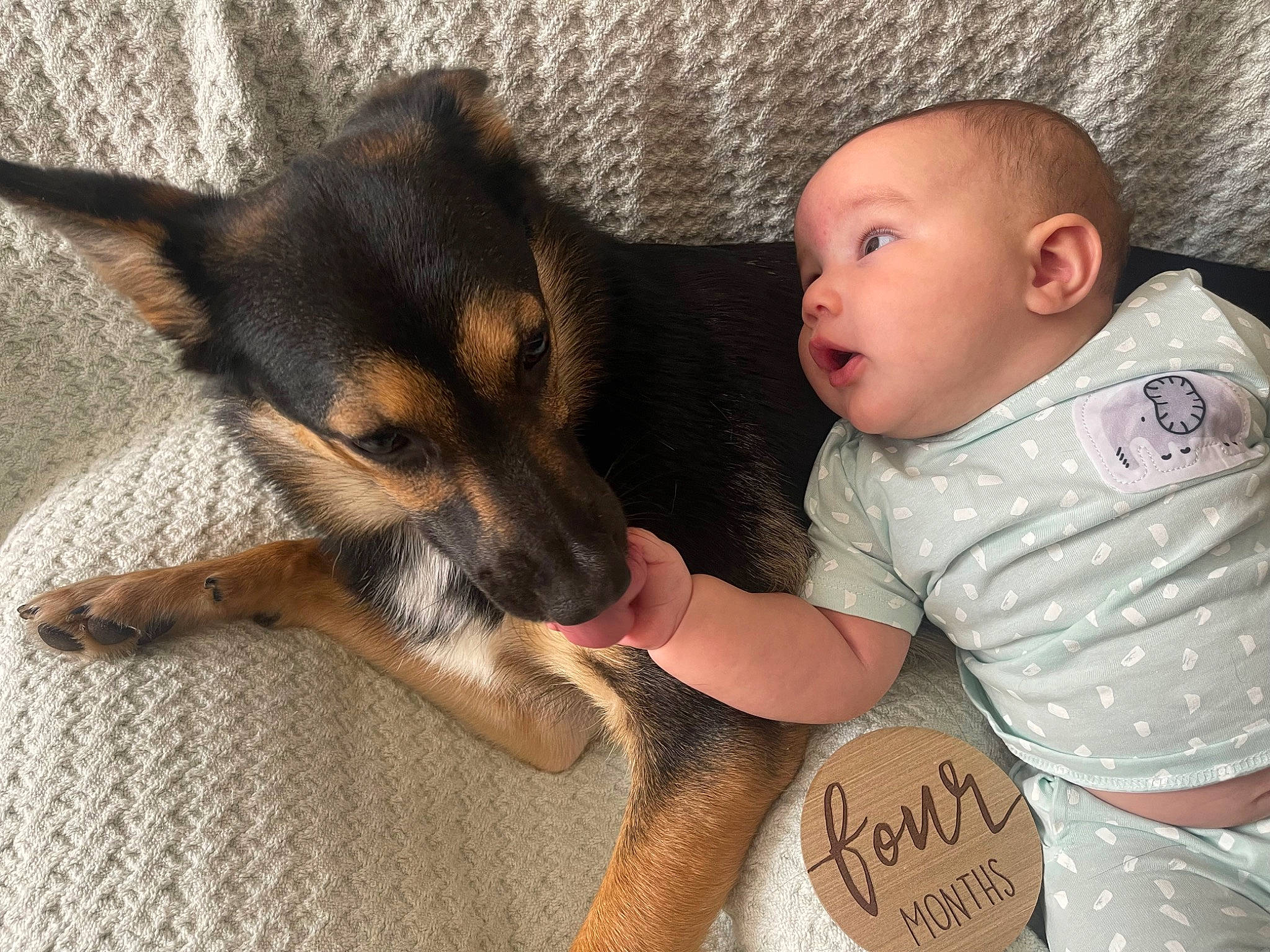 Kane is registered to the contest to win money with this photo: baby, baby_toddler_clothing, carnivore, child, comfort, companion_dog, dog, dog_breed, fur, guard_dog, happy, paw, person, pinscher, puppy_love, sitting, street_dog, t_shirt, toddler, toy_dog
