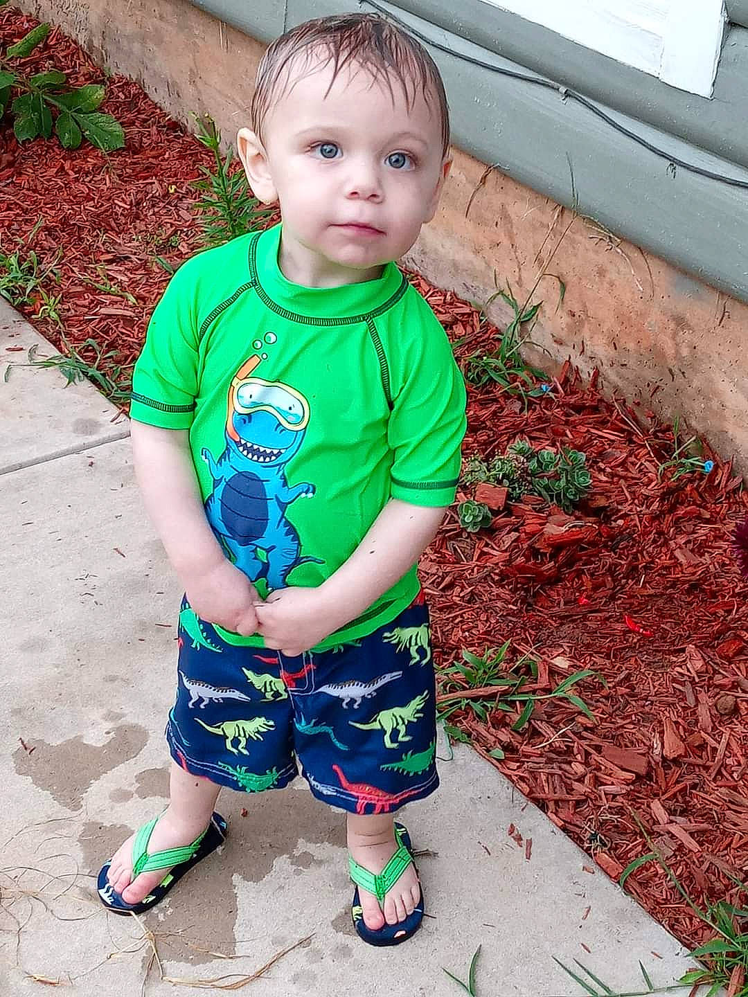 Lyncoln is registered to the contest to win money with this photo: baby, child, cool, eye, face, grass, green, head, leaf, people, person, plant, play, shorts, sitting, skin, smile, summer, t_shirt, toddler