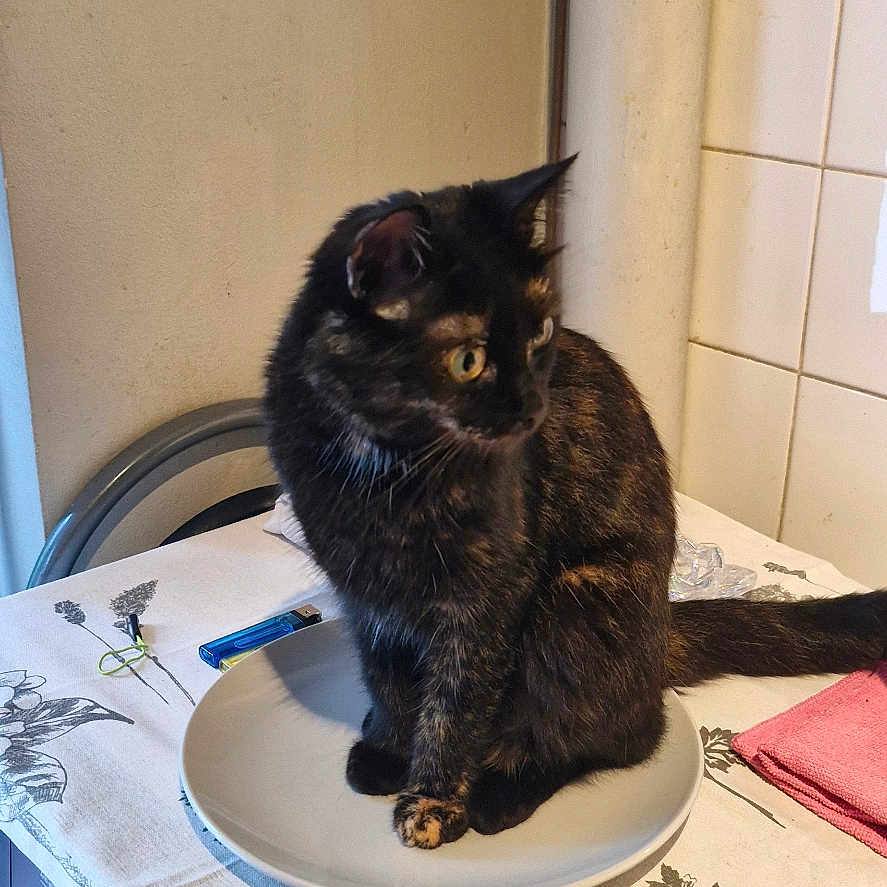 Tina