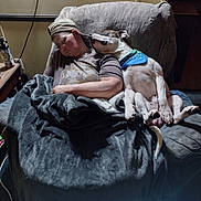 Goliath is registered to the contest to win money with this photo: affection, bandana, blanket, brown_tshirt, cap, casual_clothing, chair, comfort, couch, dog, eyeglasses, furniture, indoor, paw, person, quiet, relaxation, resting, sleeping, tail