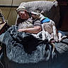 affection, bandana, blanket, brown_tshirt, cap, casual_clothing, chair, comfort, couch, dog, eyeglasses, furniture, indoor, paw, person, quiet, relaxation, resting, sleeping, tail