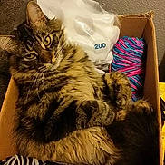 Conan The Barbarian joined the competition — help win amazing prizes!