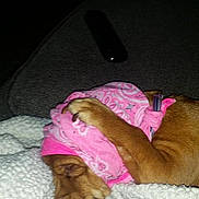 Chichi is registered to the contest to win money with this photo: