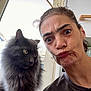 Plume a rejoint le concours — aidez-le/la à gagner de superbes lots ! animal, casual, cat, closeup, companion, curious, domestic, expression, feline, fluffy_cat, funny_face, gray_cat, hair_tied_back, indoor, person, pet, portrait, pout, selfie, window