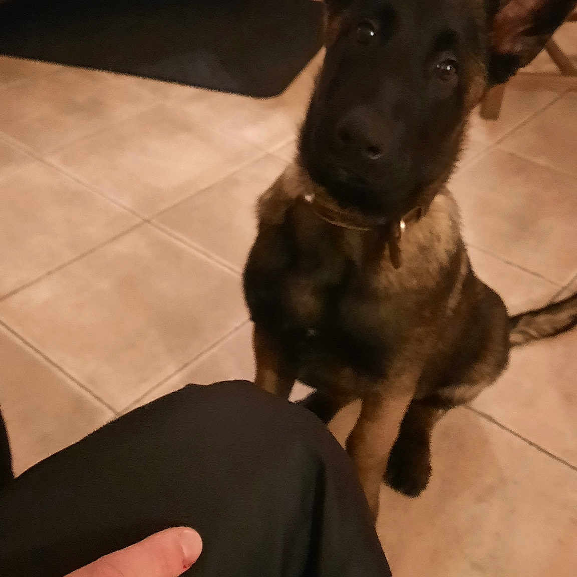 Sam