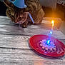 cat, party_hat, birthday_candle, red_plate, marshmallows, wooden_table, couch, indoor, pet, curious, feline, celebration, light_flame, cozy, animal, small_hat, furniture, tabletop, domestic, cute